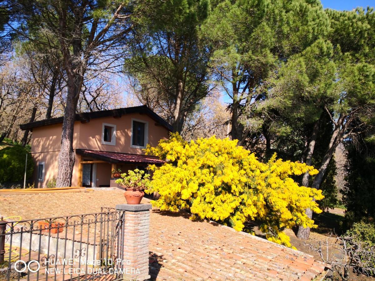 Feudo Algerazzi Villa Zafferana Etnea Dış mekan fotoğraf